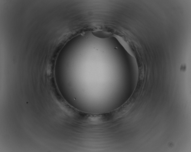 X0000094950560200712131625