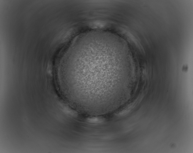 X0000094950561200712131625