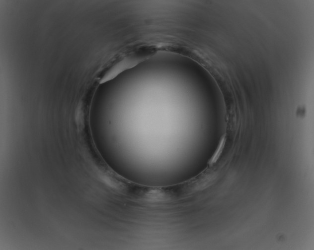 X0000094950562200712131625