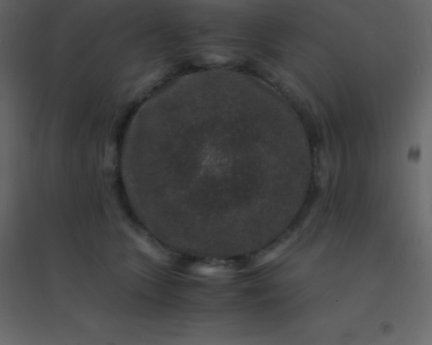 X0000094950563200712131625