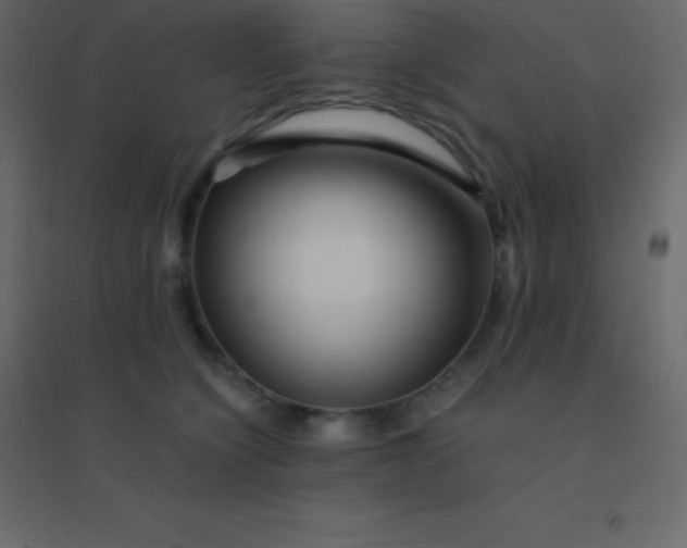 X0000094950564200712131625