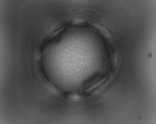 X0000094950565200712131625