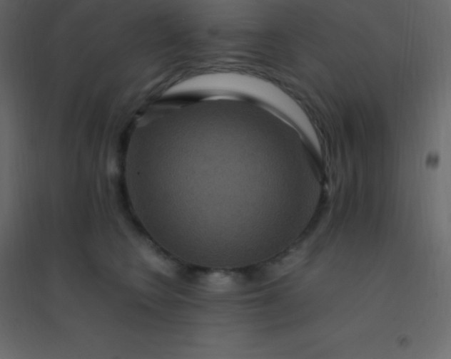 X0000094950566200712131625