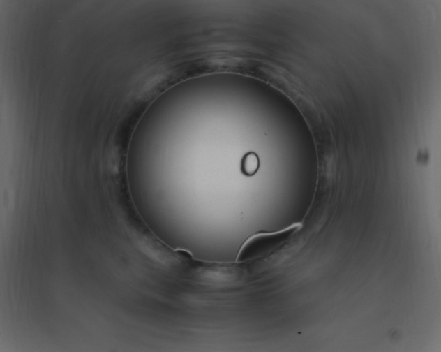 X0000094950567200712131625