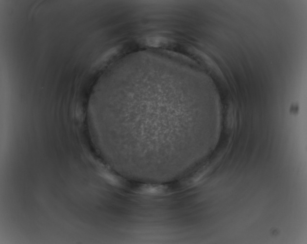 X0000094950569200712131625