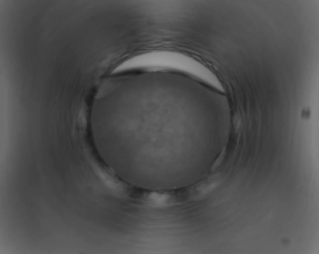 X0000094950570200712131625