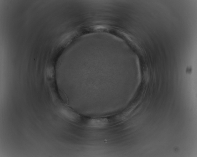 X0000094950571200712131625