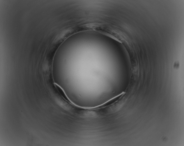 X0000094950572200712131625