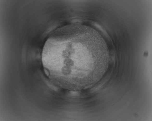 X0000094950573200712131625