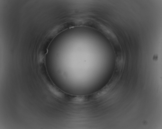 X0000094950574200712131625