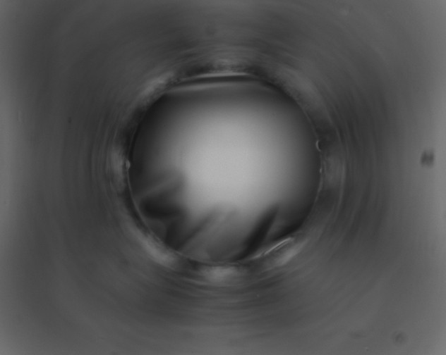 X0000094950575200712131625