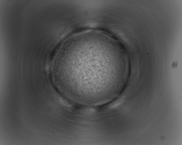 X0000094950576200712131625