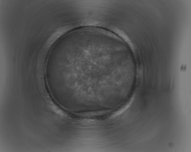 X0000094950577200712131624