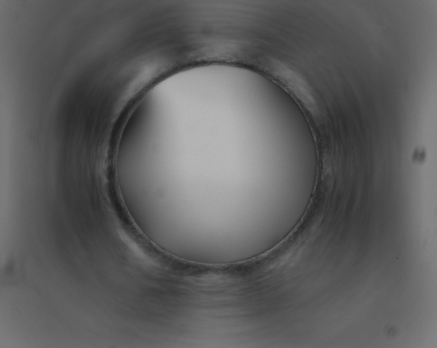 X0000094950578200712131624