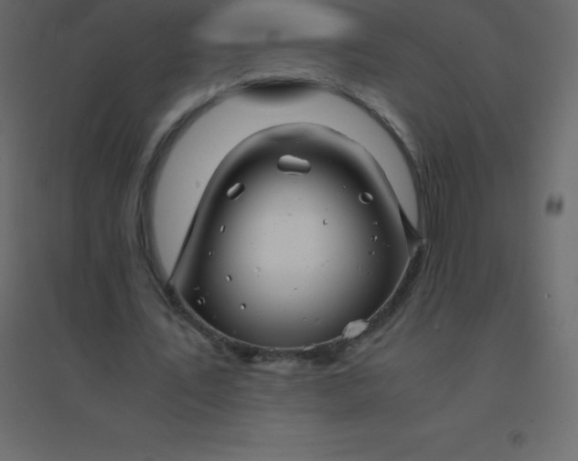 X0000094950579200712131624