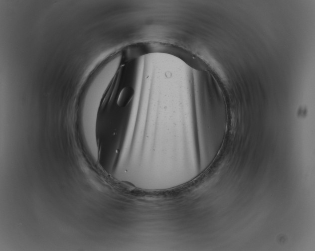 X0000094950580200712131624