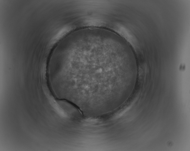 X0000094950581200712131624