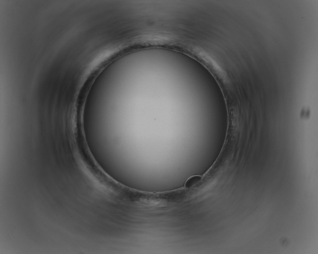 X0000094950582200712131624