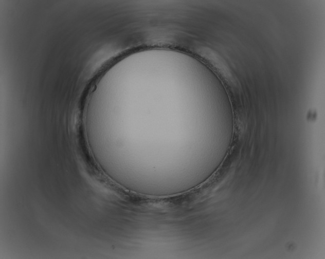 X0000094950583200712131624