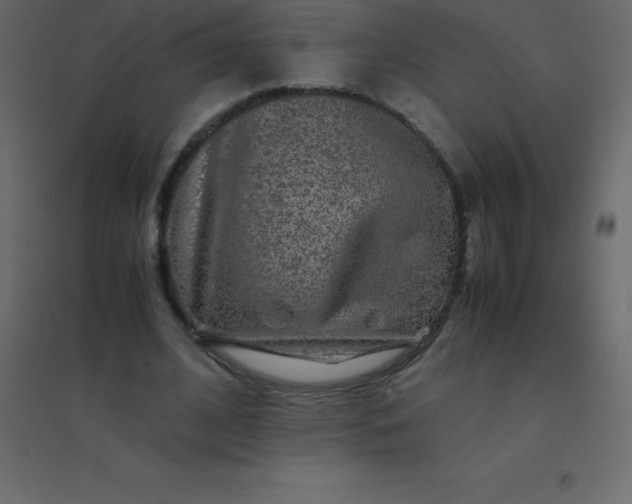 X0000094950584200712131624