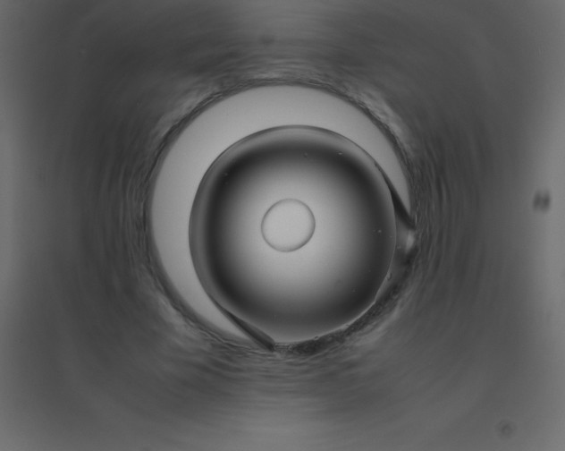 X0000094950585200712131624