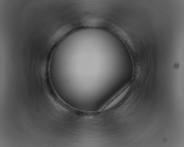 X0000094950586200712131624