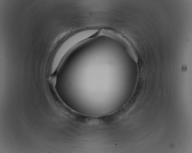 X0000094950587200712131624