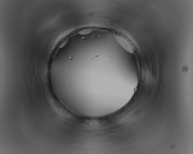 X0000094950588200712131624