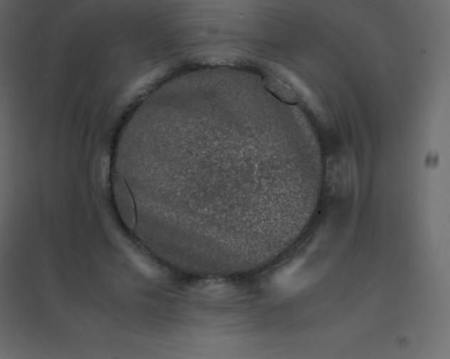 X0000094950589200712131624