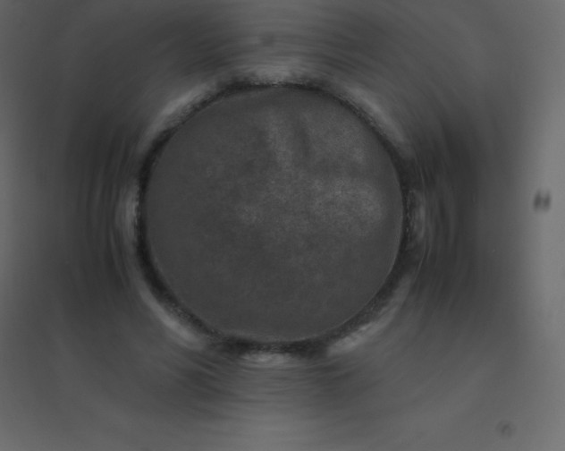 X0000094950590200712131624