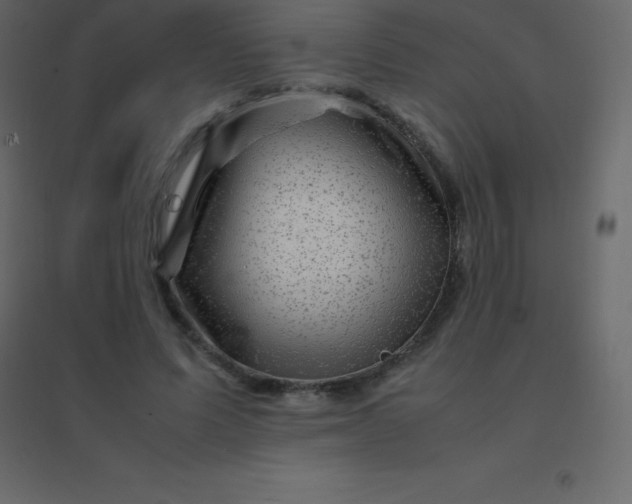 X0000094950591200712131624