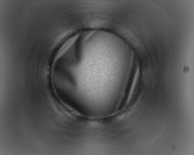 X0000094950592200712131624