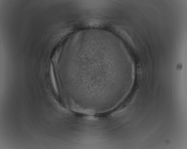 X0000094950593200712131624