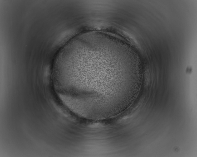 X0000094950594200712131624