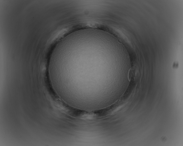 X0000094950595200712131624