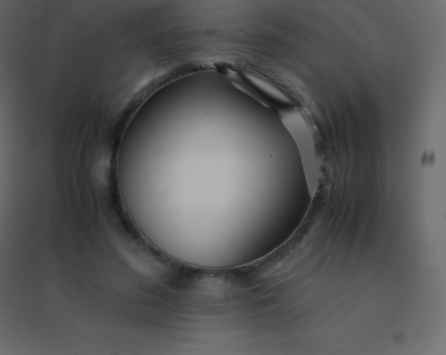 X0000094950596200712131624