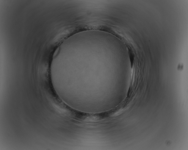 X0000094950599200712131624