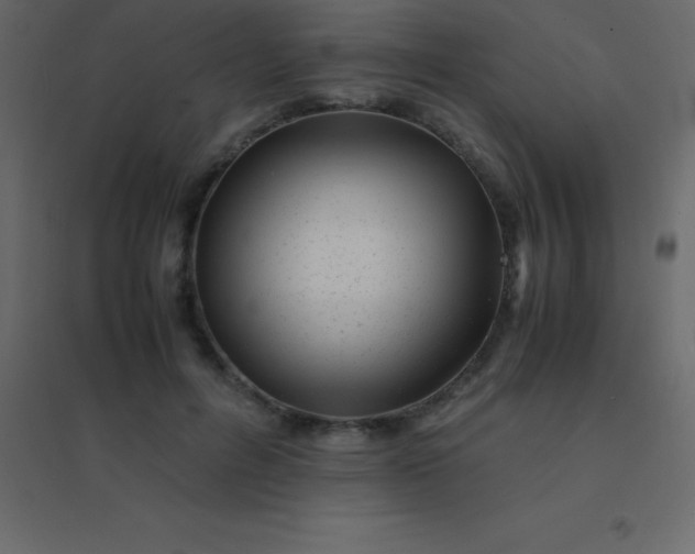 X0000094950600200712131624