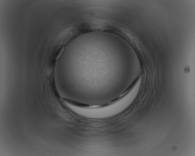 X0000094950601200712131624