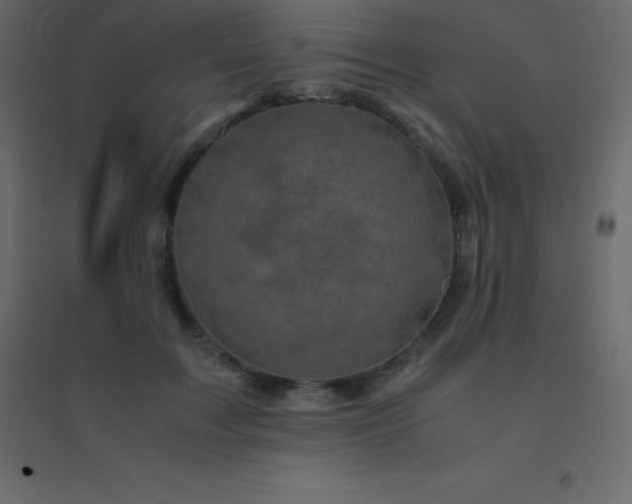 X0000094950603200712131624