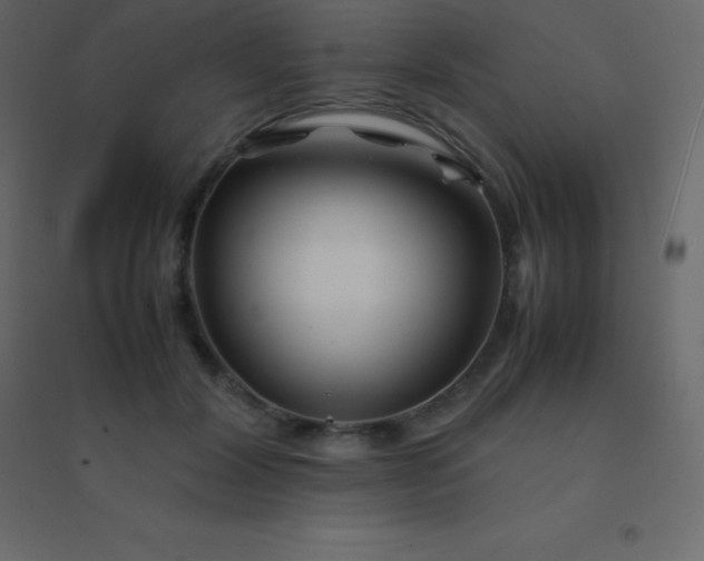 X0000094950604200712131624