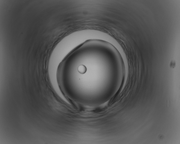 X0000094950605200712131624