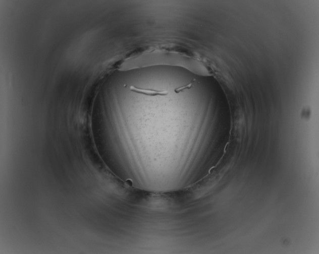 X0000094950608200712131624