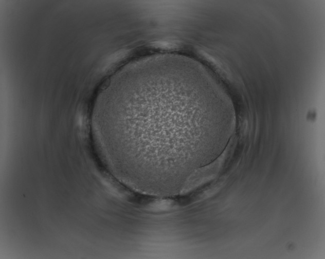 X0000094950609200712131624