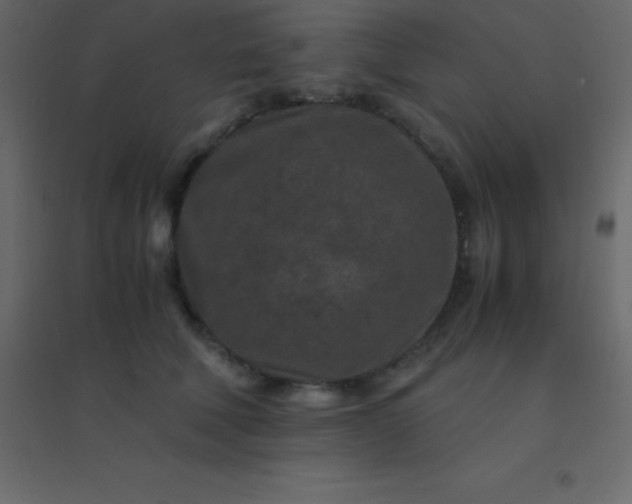 X0000094950610200712131624