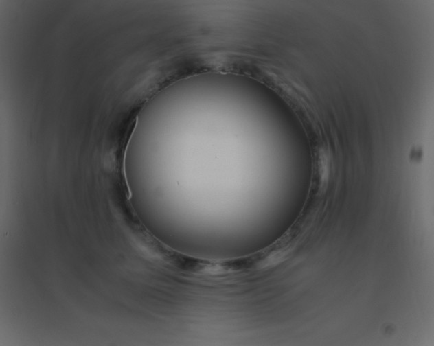 X0000094950611200712131624