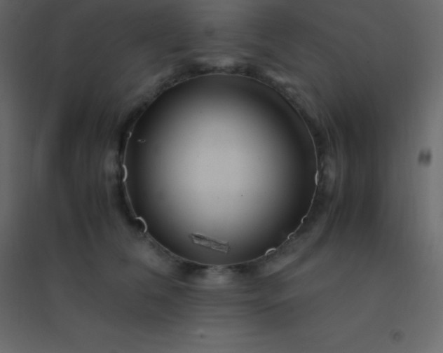 X0000094950612200712131624