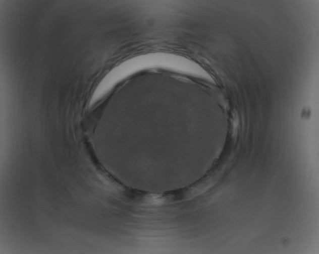 X0000094950613200712131624