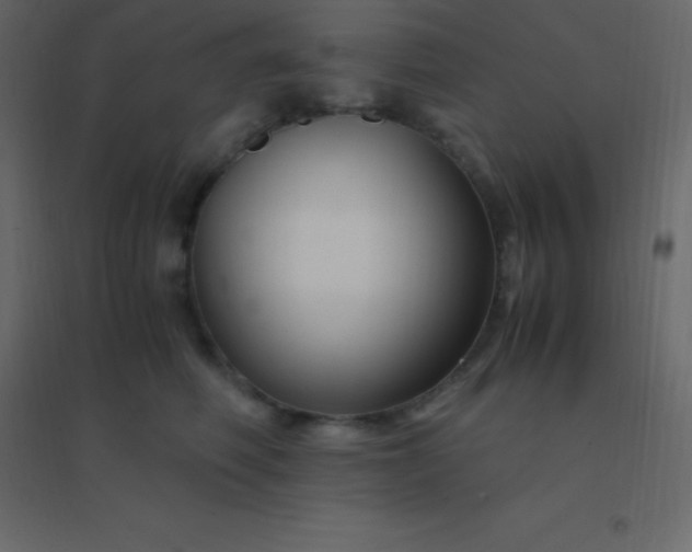 X0000094950614200712131624