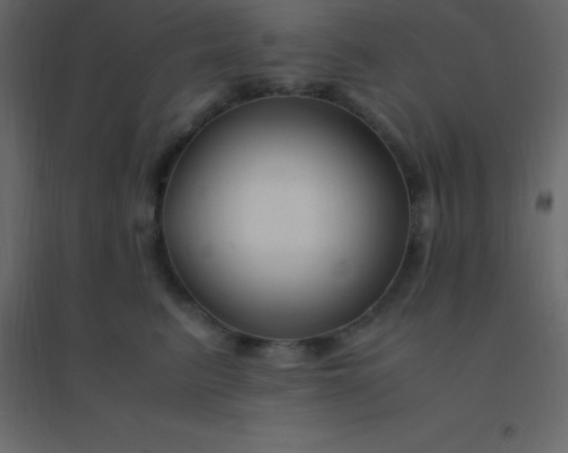 X0000094950615200712131624